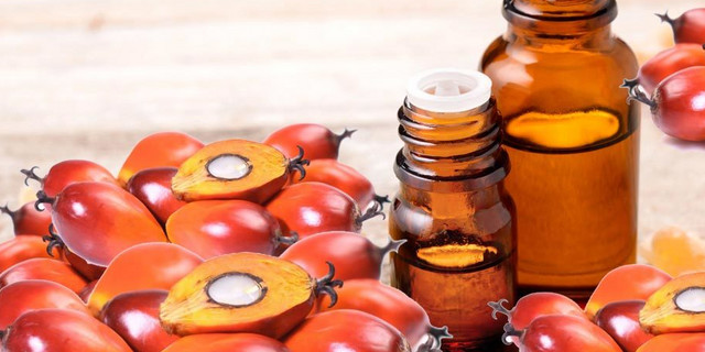 Natural Remedies: the benefits of kernel oil