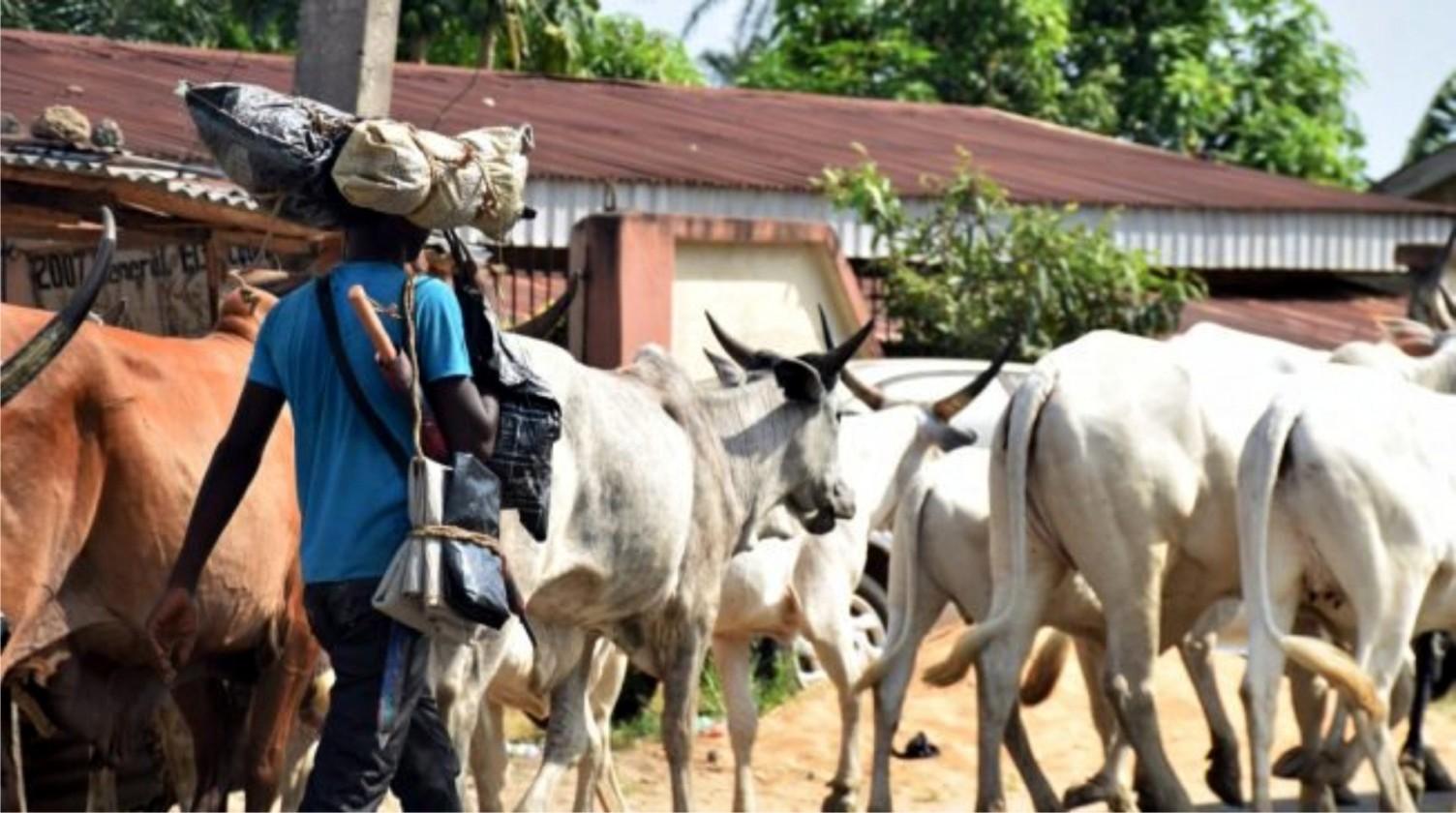Panic in Ogun community as herdsmen threaten to attack residents for poisoning their farms