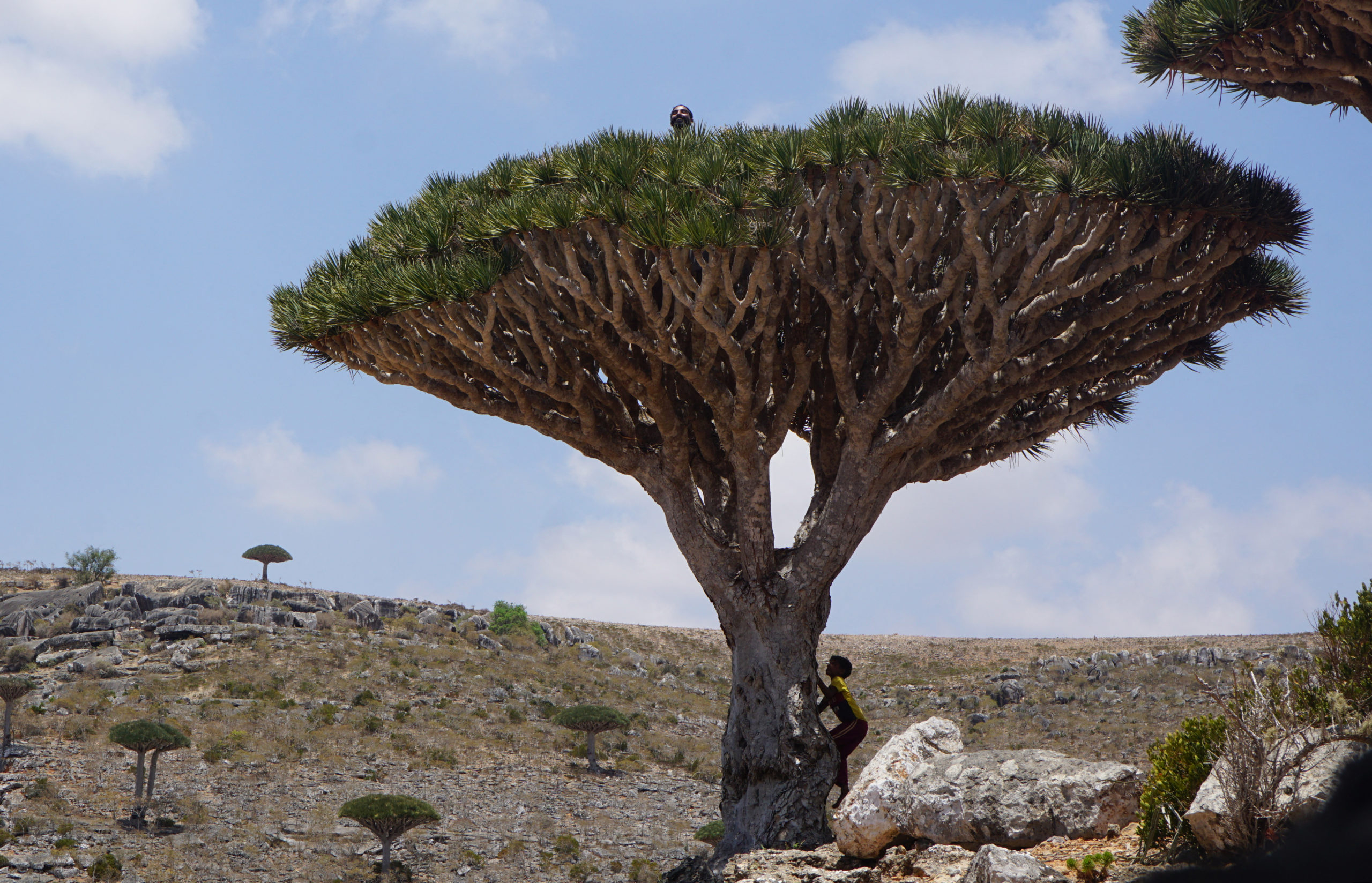 This photo shows a view of the strategic Yemeni island of Socotra