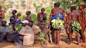 Koma tribe: A brief walk into the lives of an ancient ethnic group