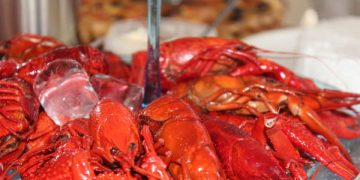 Crayfish: The health benefits of eating this seafood are incredible