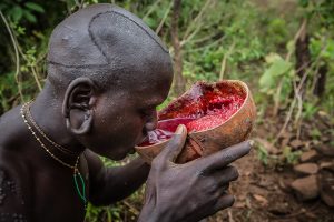 Why do the Suri men drink cow blood?