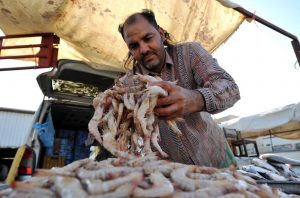 Saudi fishermen in Qatif go on strike in rare display of dissent