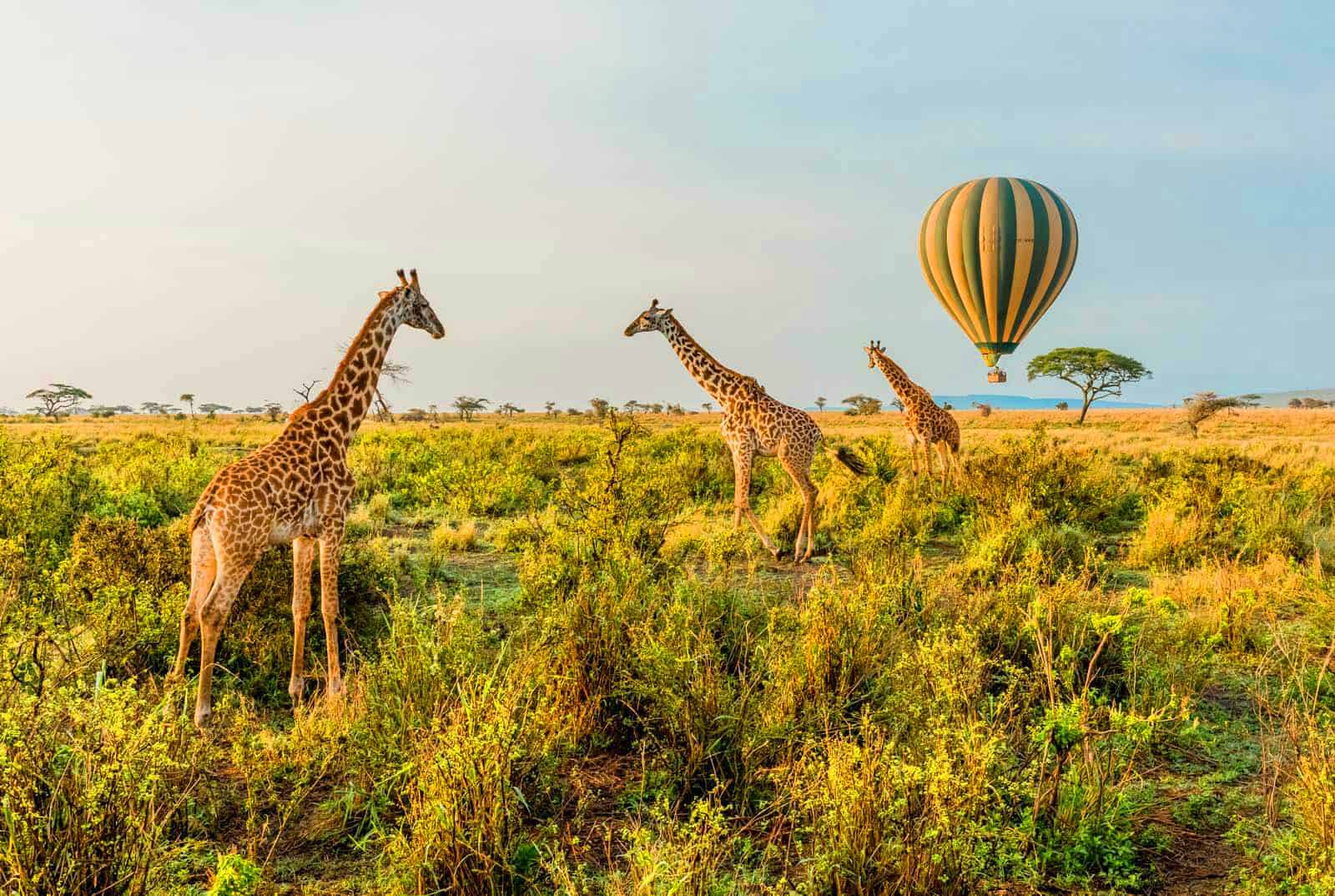 7 reasons why you should visit Tanzania