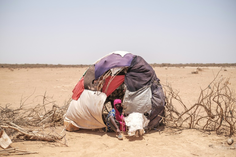 The worst drought in decades devastates Ethiopia's nomads