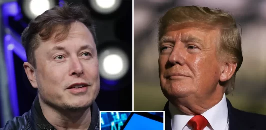 Twitter to restore Trump's account after Elon Musk takeover