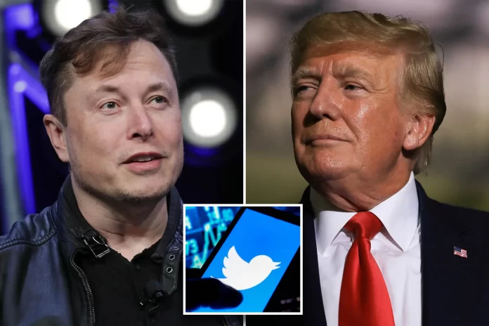 Twitter to restore Trump's account after Elon Musk takeover