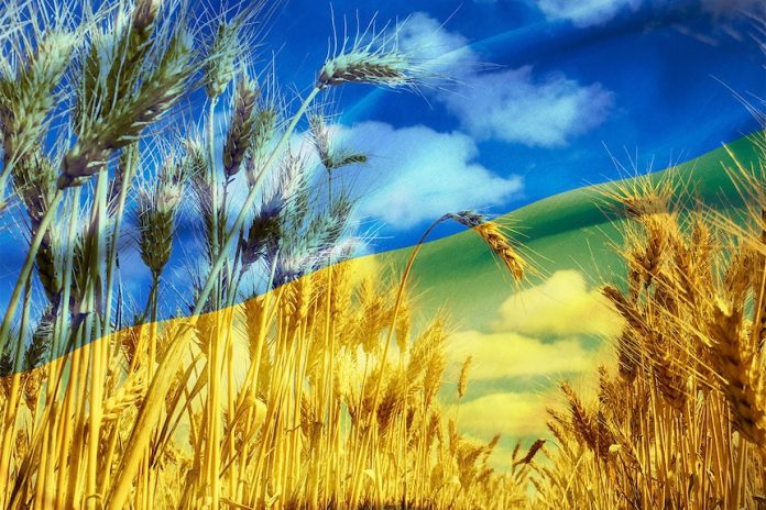 Food insecurity; Ukraine grain deal dominates food security debate at G20