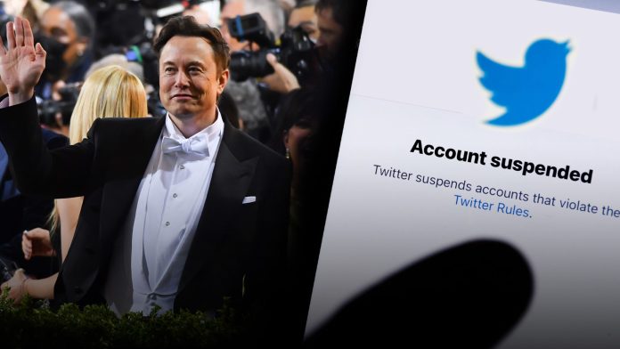 Some Twitter Bans Violated First Amendment - Elon Musk