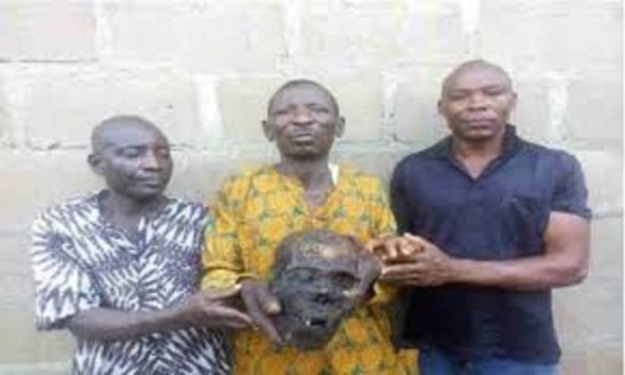Police intercept man with 3 human skulls in Lagos