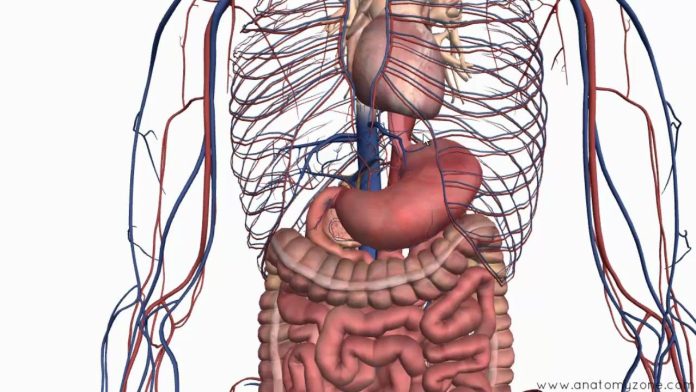 Symptoms of stomach ulcer