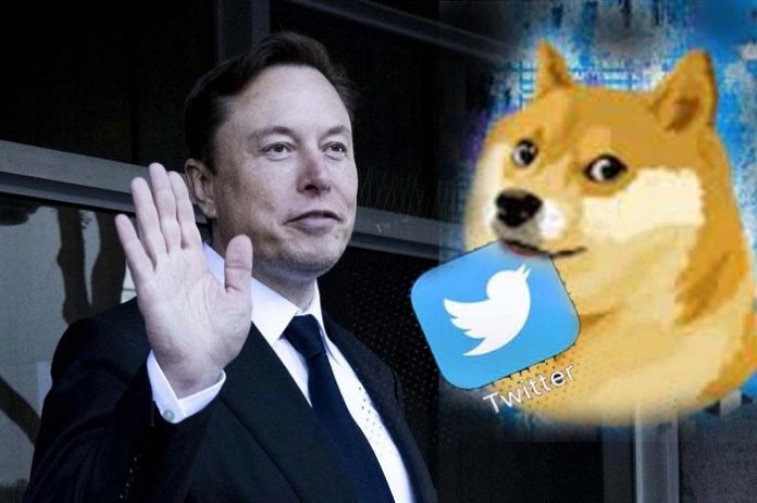 Twitter CEO Elon Musk changes iconic blue bird logo to 'doge' meme