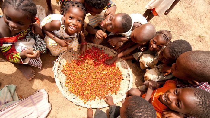 Africa has all it takes to eradicate hunger