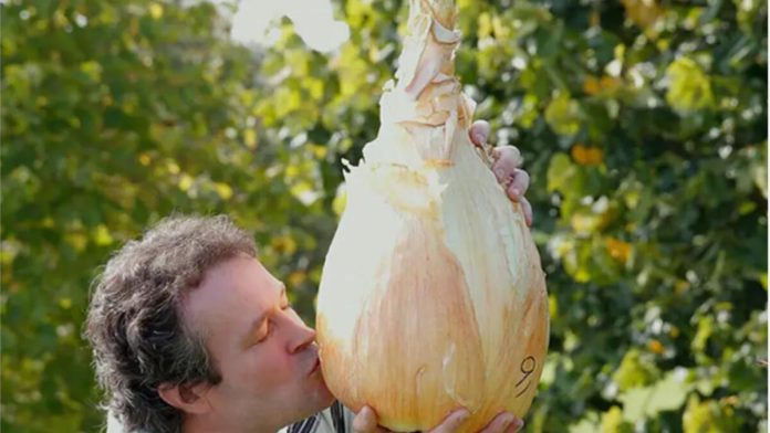 Record-breaking 9 kilo onion displayed at Harrogate Flower Show
