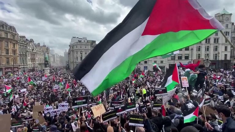 pro-Palestinian protest in central London