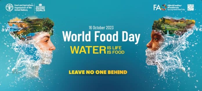 World Food Day: FAO urges governments to prioritise water in policy and planning