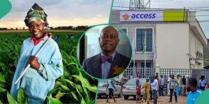 How Access Bank is revitalising Agric sector with an agriculture desk