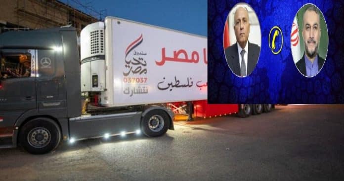 Iran, Egypt FMs stress dispatching aid to war-torn Gaza