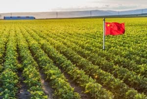 'America First' group works to ban Chinese farmland ownership at state level