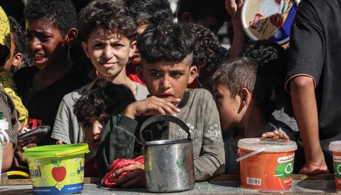 WFP halts food deliveries to north Gaza amid chaos, violence