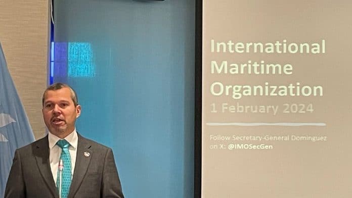IMO calls for ceasefire as Red Sea volatility slows European industry