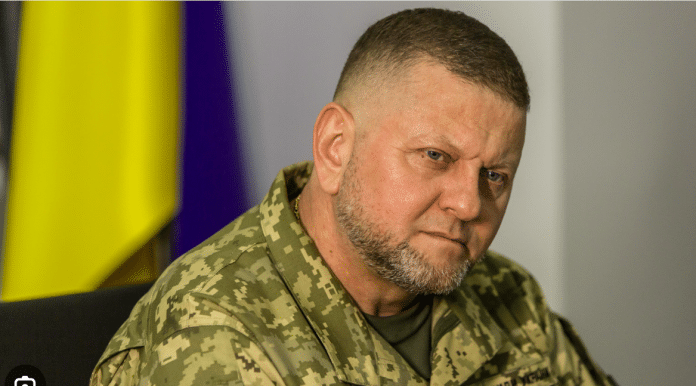 Ukraine: Zelensky removed Army chief Zaluzhny from post