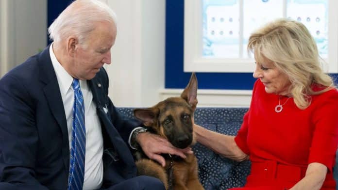 US: Biden gives away Commander after dog attacks on Secret Service