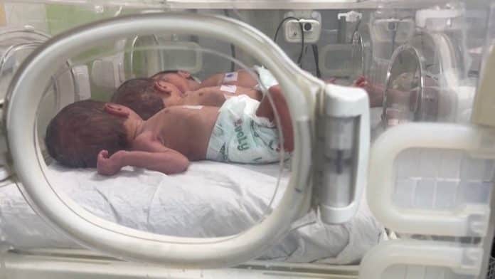 WHO Reports Newborns in Gaza Dying Due to Low Birth Weight