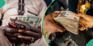 Naira depreciates by ₦65 as it loses 6% against dollar