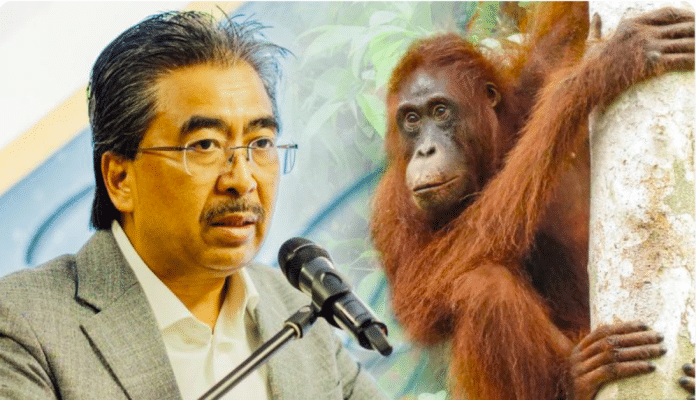 Malaysians stand against ‘orangutan diplomacy’ to sell palm oil