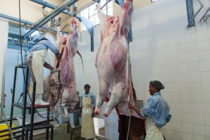 Nigeria pays dormant companies $29.8 m for state house veterinary Abattoir project