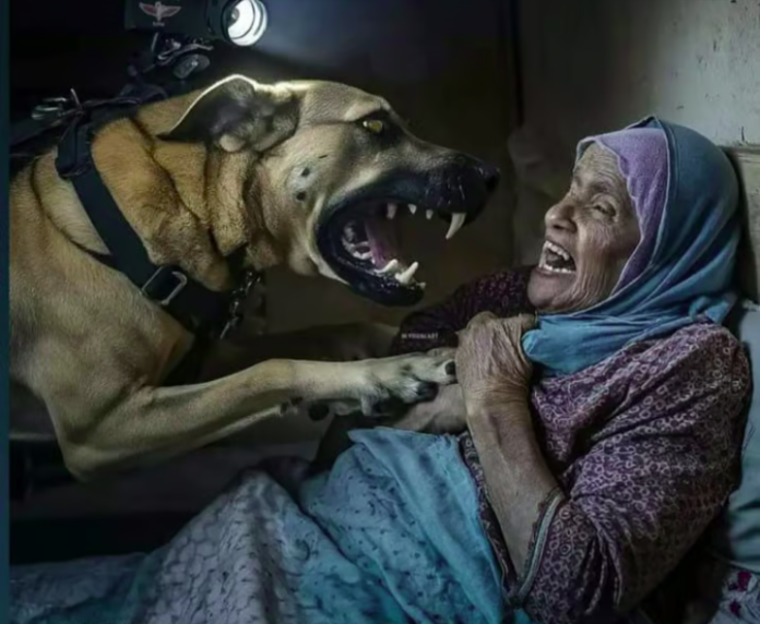 Hamas abducts IDF dog which attacked an old Palestinian woman