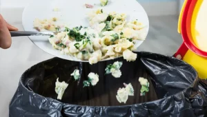 '4.2 bn meals thrown away in Italy in a year': Waste Watcher Observatory