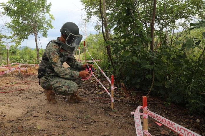 China's contributions to int'l demining cooperation hailed by countries tackling unexploded mines